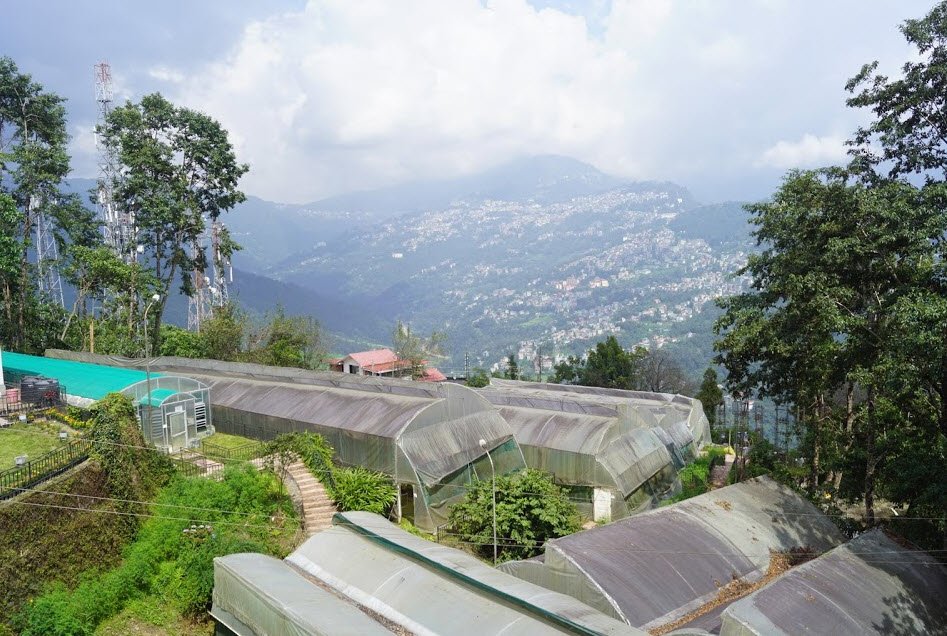 Shanti Viewpoint, East Sikkim, Sikkim - Vushii.com